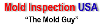 Mold Inspection USA